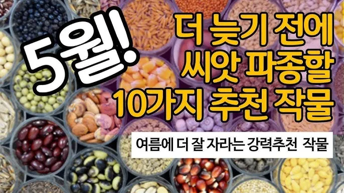 &amp;quot;여름
