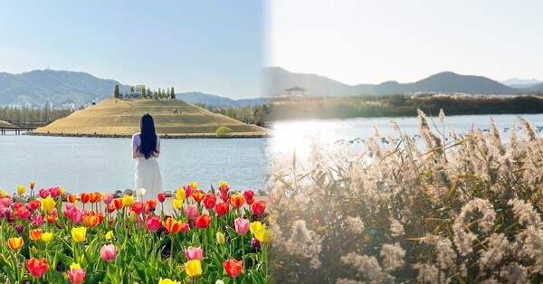 전남 순천에서 가볼만한 여행 명소