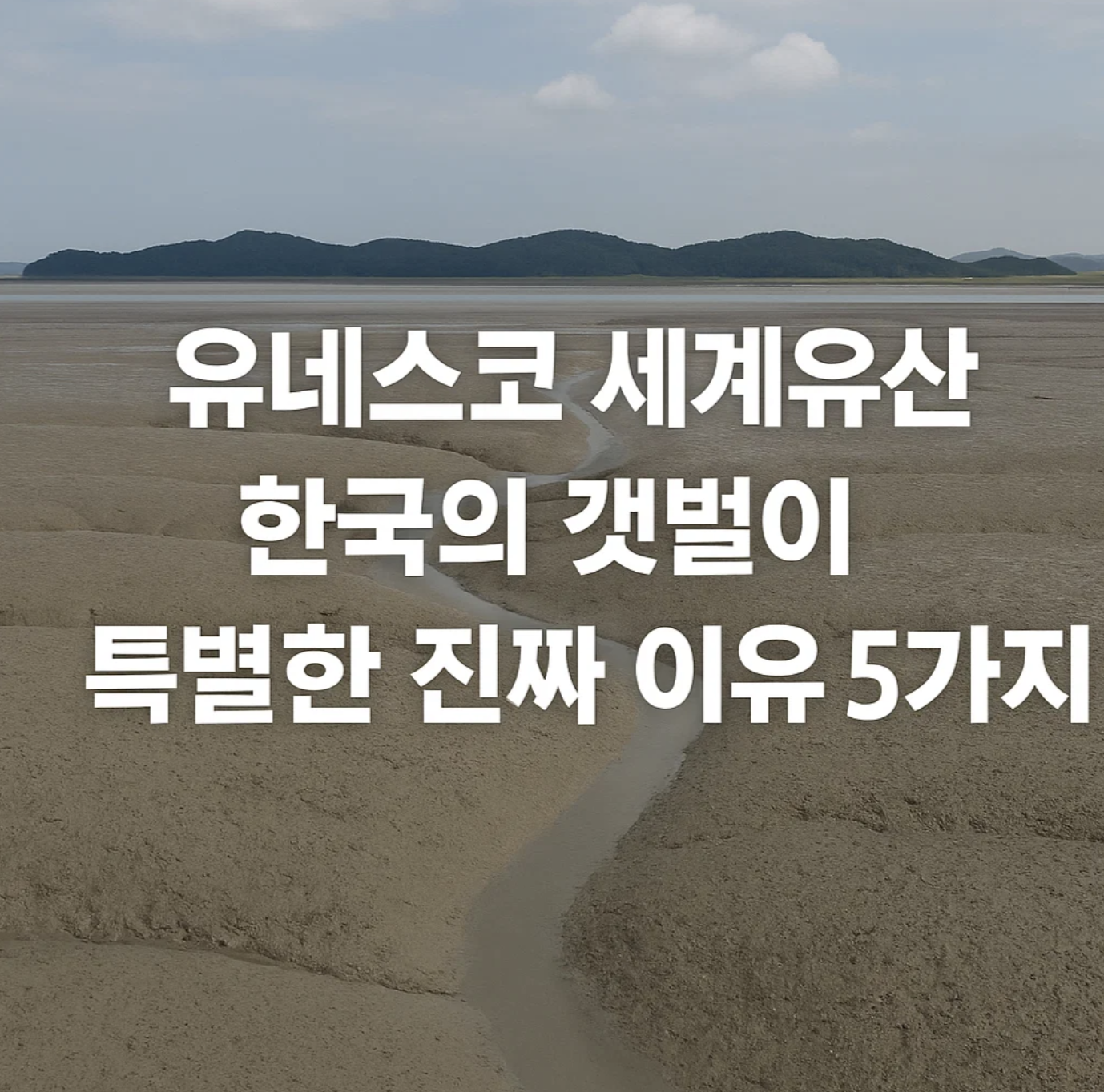 유네스코 세계유산, 한국의갯벌이 특별한 진짜 이유 5가지