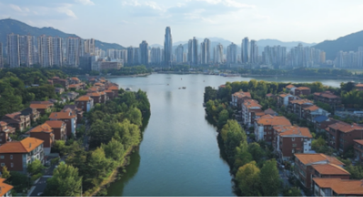 서울 VS 경기 청년 정책