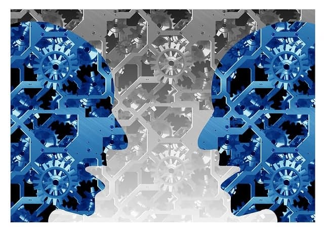 치과기공사의 법적 책임: 보철물 제작 오류 시 누구의 책임인가?