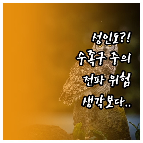 성인 수족구 감염 사실과 전파 위험..