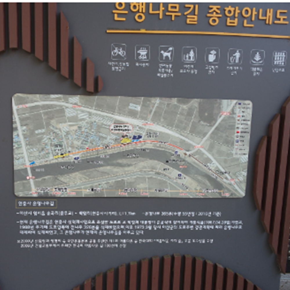 아산 곡교천 은행나무길