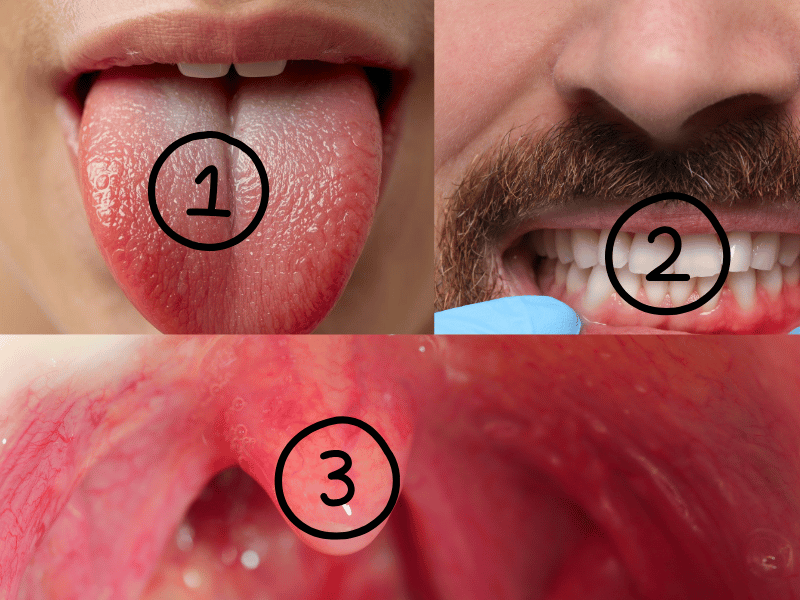 구강세정기 사용 순서 흐름 안내 이미지