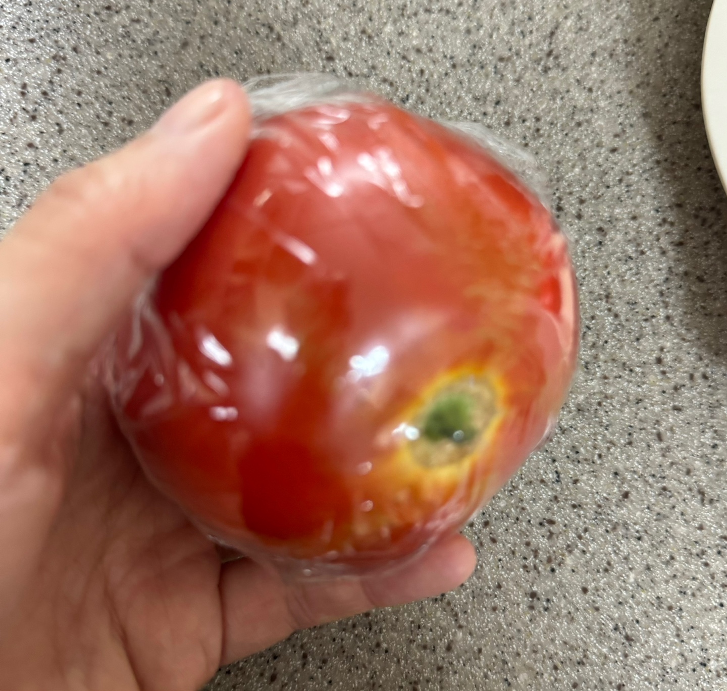 여름 제철 토마토 효능과 보관하는 방법