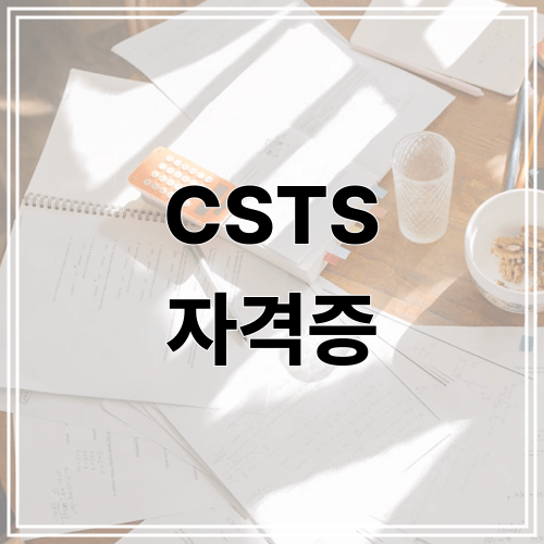 CSTS 자격증