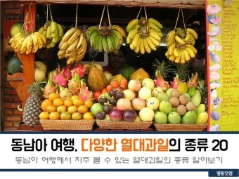 동남아 여행지 순위 가족여행지 3월 4월 최고 여행지_23
