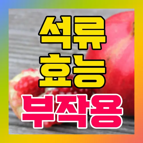 석류 효능 부작용