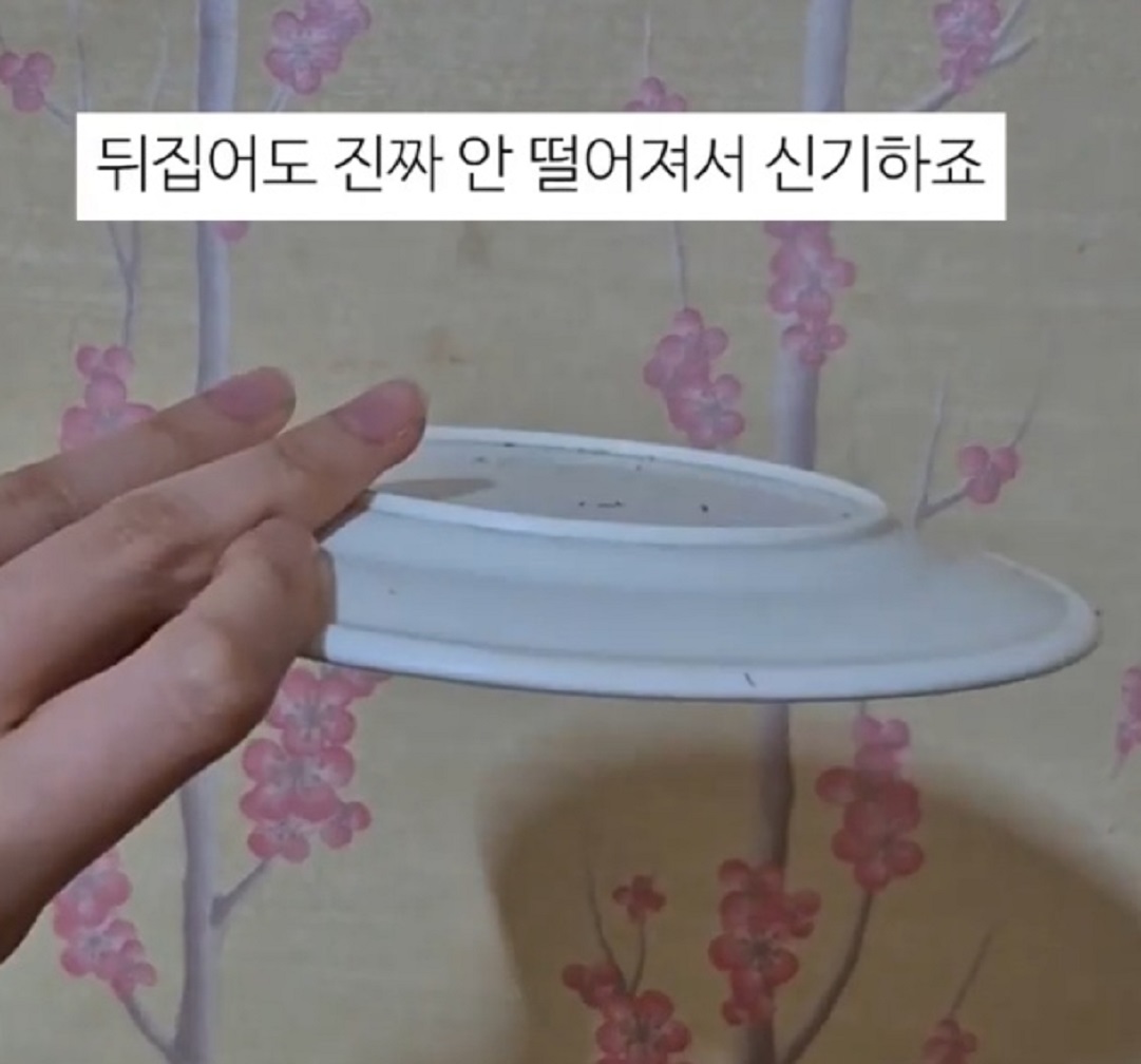 한국인의밥상-대구-뭉티기-오드레기-왕거미식당-여중현