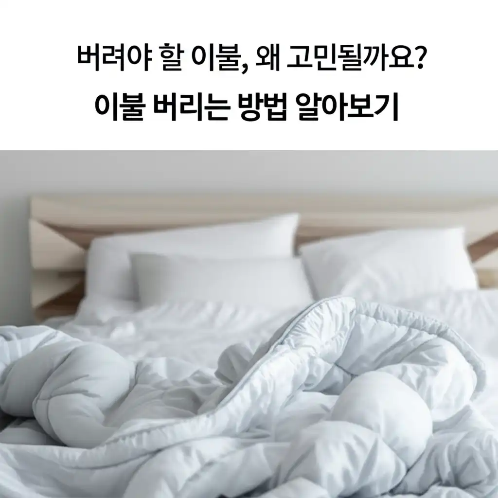 이불버리는방법알아보기_introduction