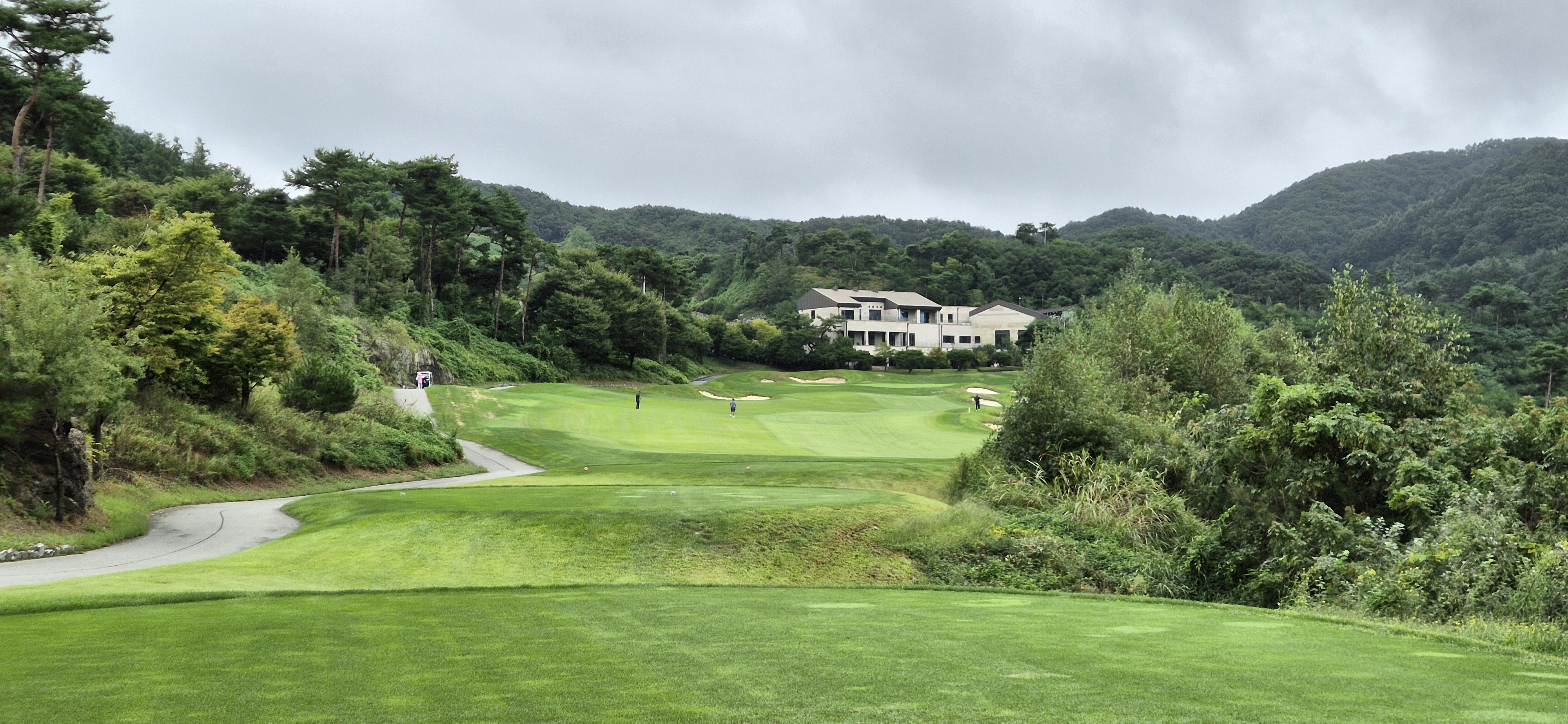 더플레이어스cc