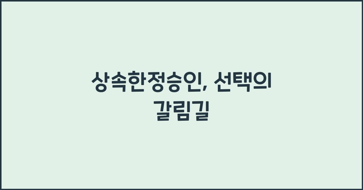 상속한정승인