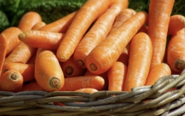 흙당근 보관방법