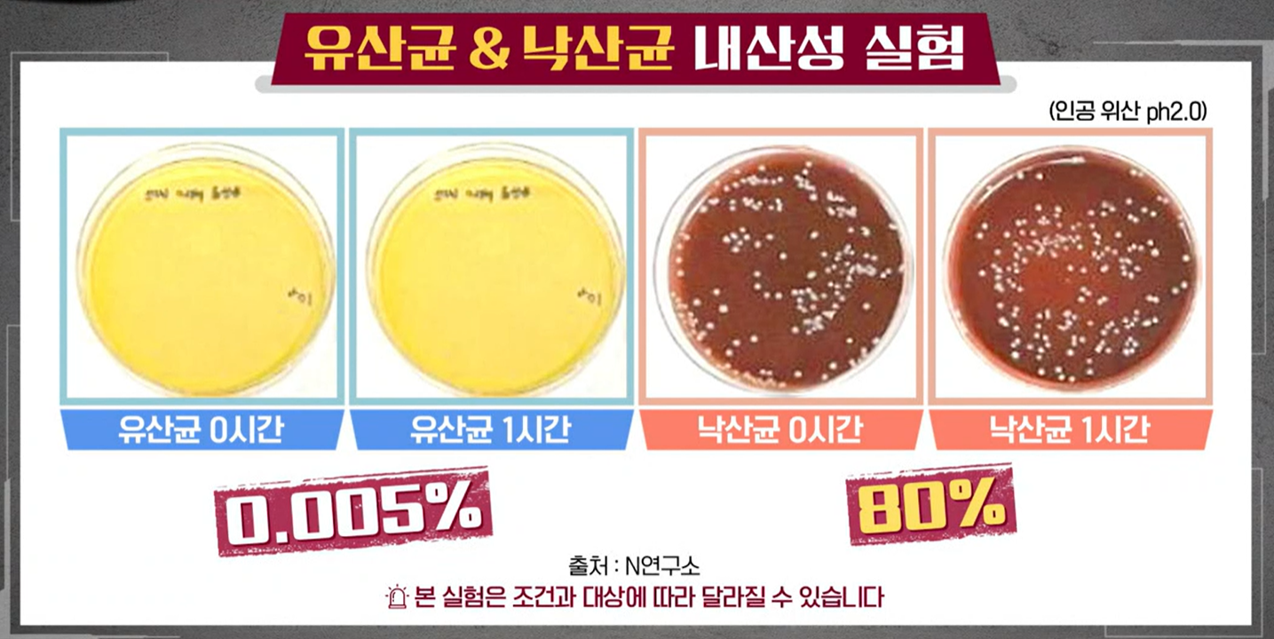 낙산균효능