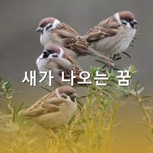 참새-네마리가-사이좋게-나무에-앉아서-지줘귀는-모습