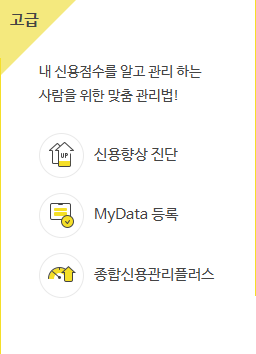 신용점수 조회
