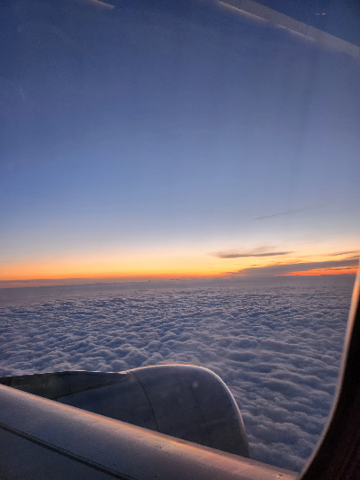 출국 납부금 환급 서비스