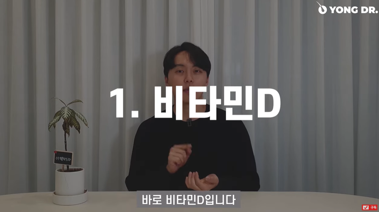 추천 영양제 비타민D