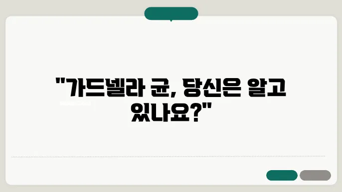 가드넬라 균