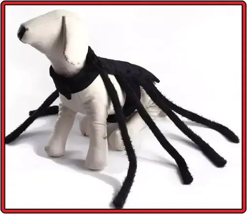 할로윈데이-거미-모양-강아지-용품