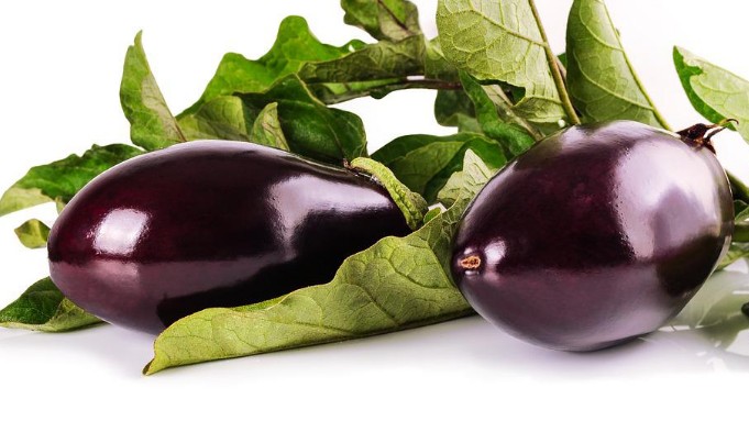 옥수수, 가지, 전복, 감자, 애호박 냉동보관법, 냉장보관방법