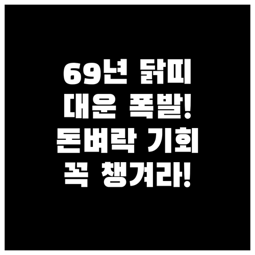 2026년 병오년 69년생 닭띠 운세..