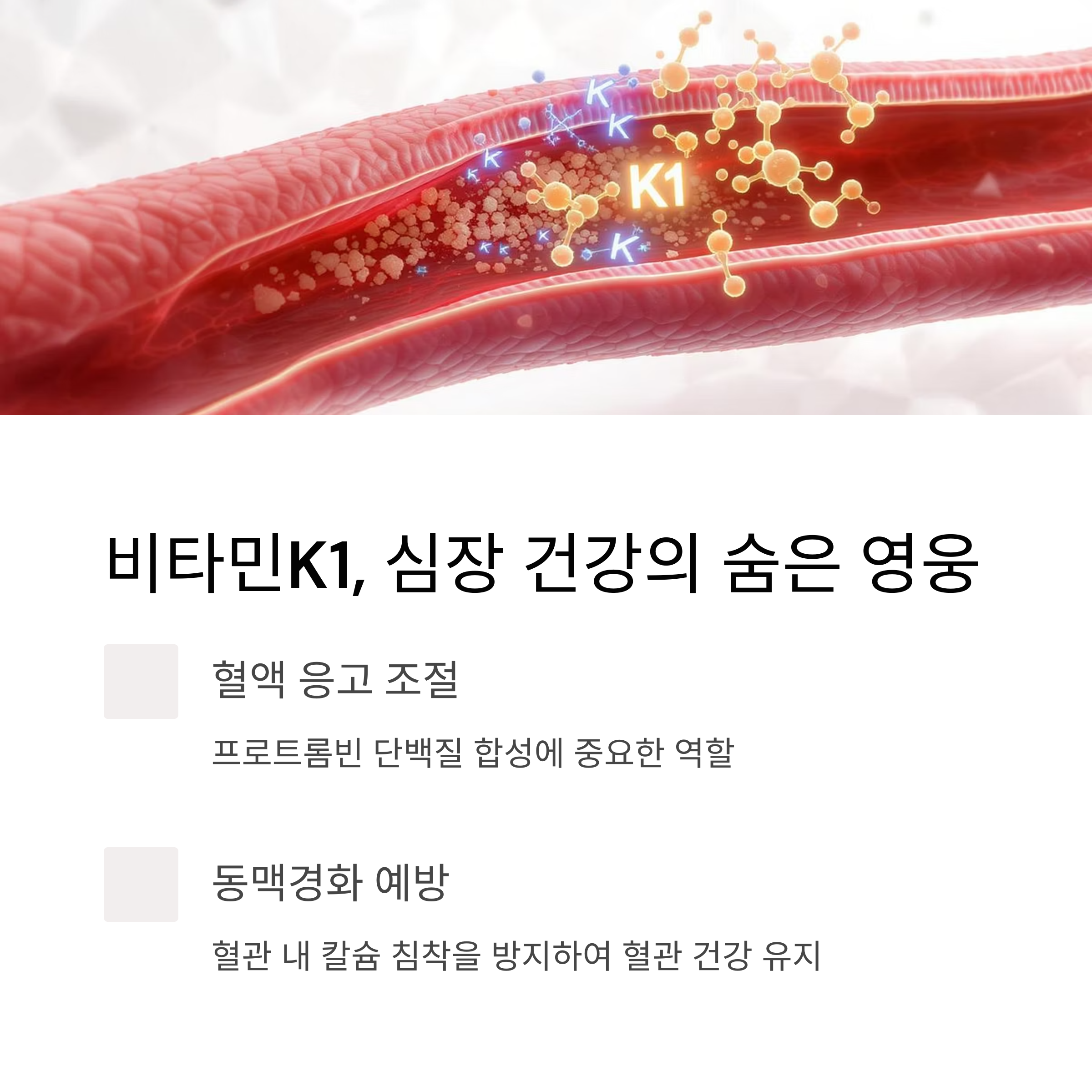 비타민K1