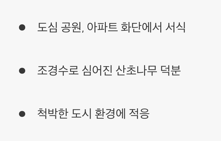 우리와 함께 살아가는 도시의 이웃