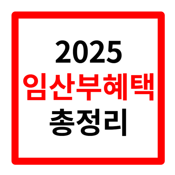2025 임산부 혜택, 임산부 정부지원, 임산부 정부지원금, 임산부 항공사혜택, 임신, 출산, 육아, 임산부