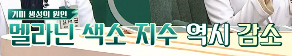 콜라겐의 효능