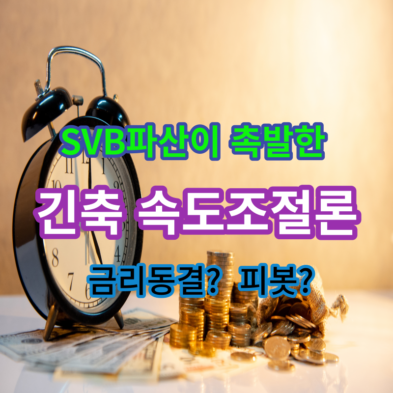 긴축속도조절론