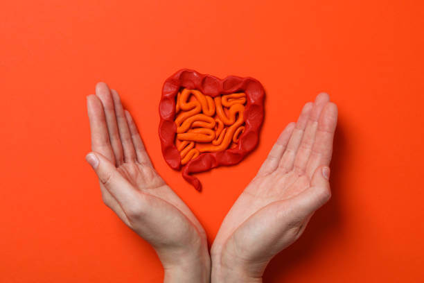 장 건강 영양제 Best 5! 장 건강에 진심인 당신을 위한 선택!