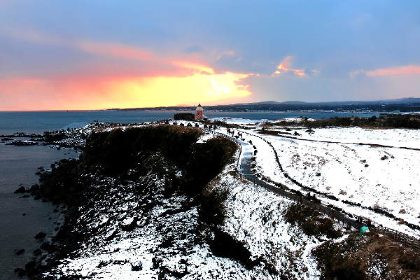 제주 겨울 여행 명소 추천, 설경·동백·숲길 총정리