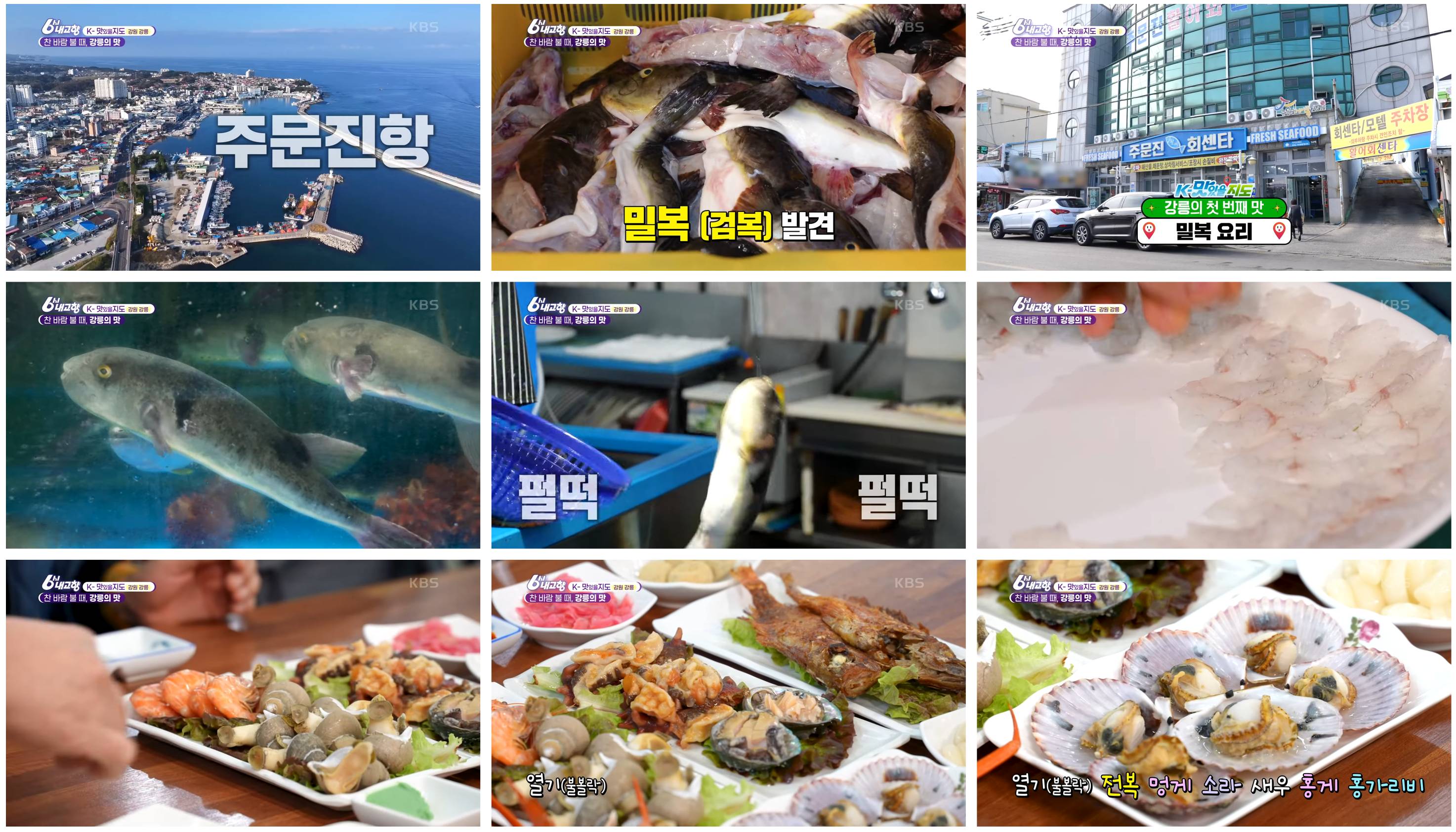 주문진항 사랑횟집