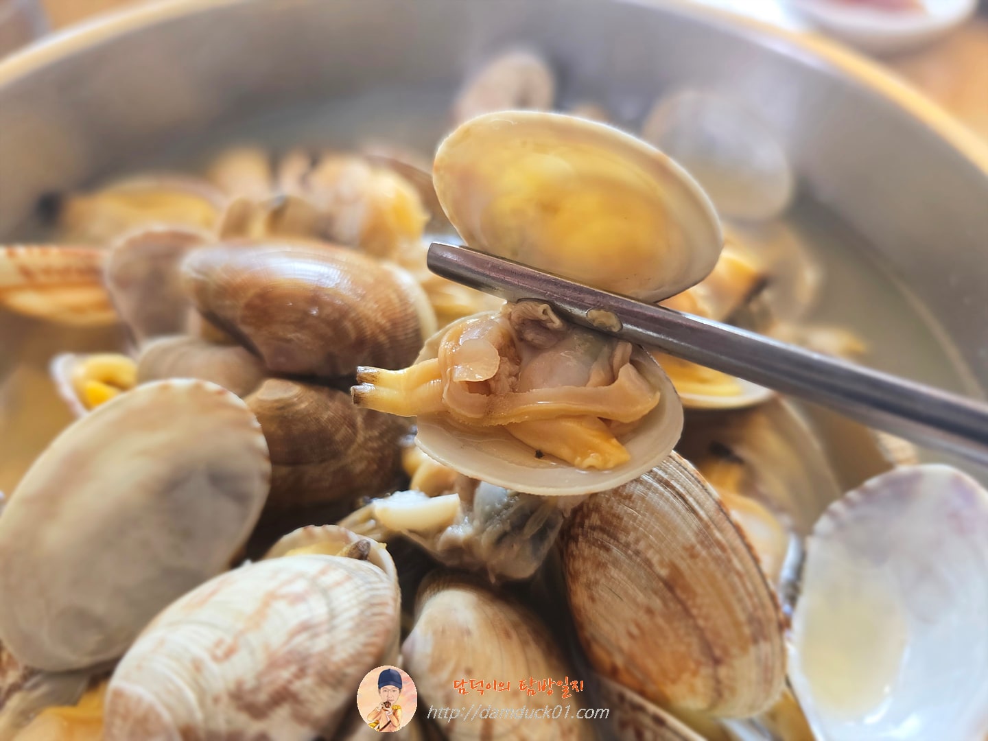 바지락 칼국수