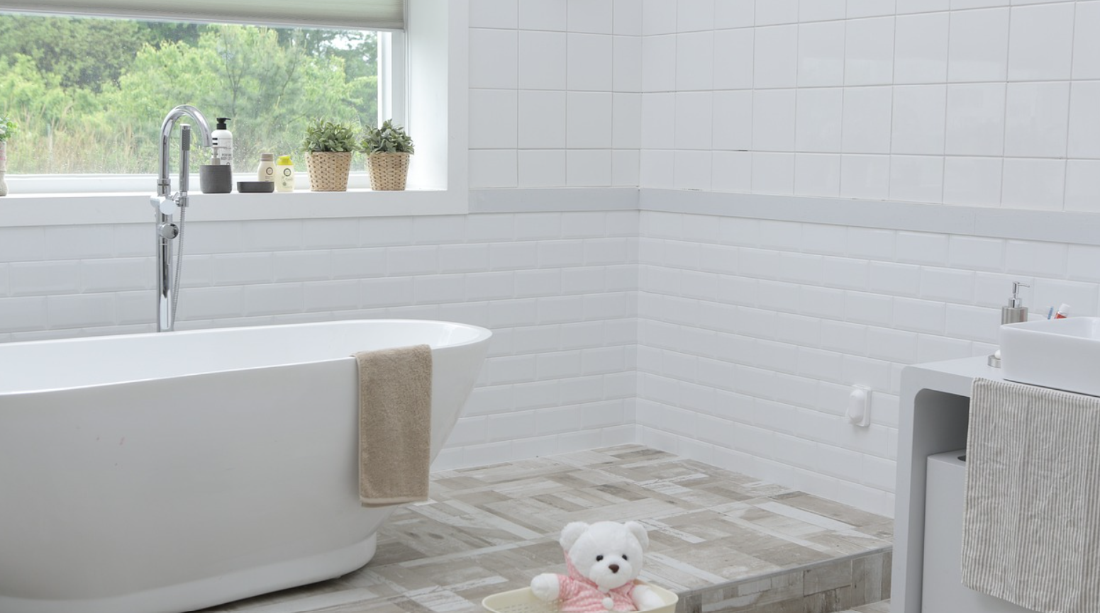 곰팡이 제거의 마법