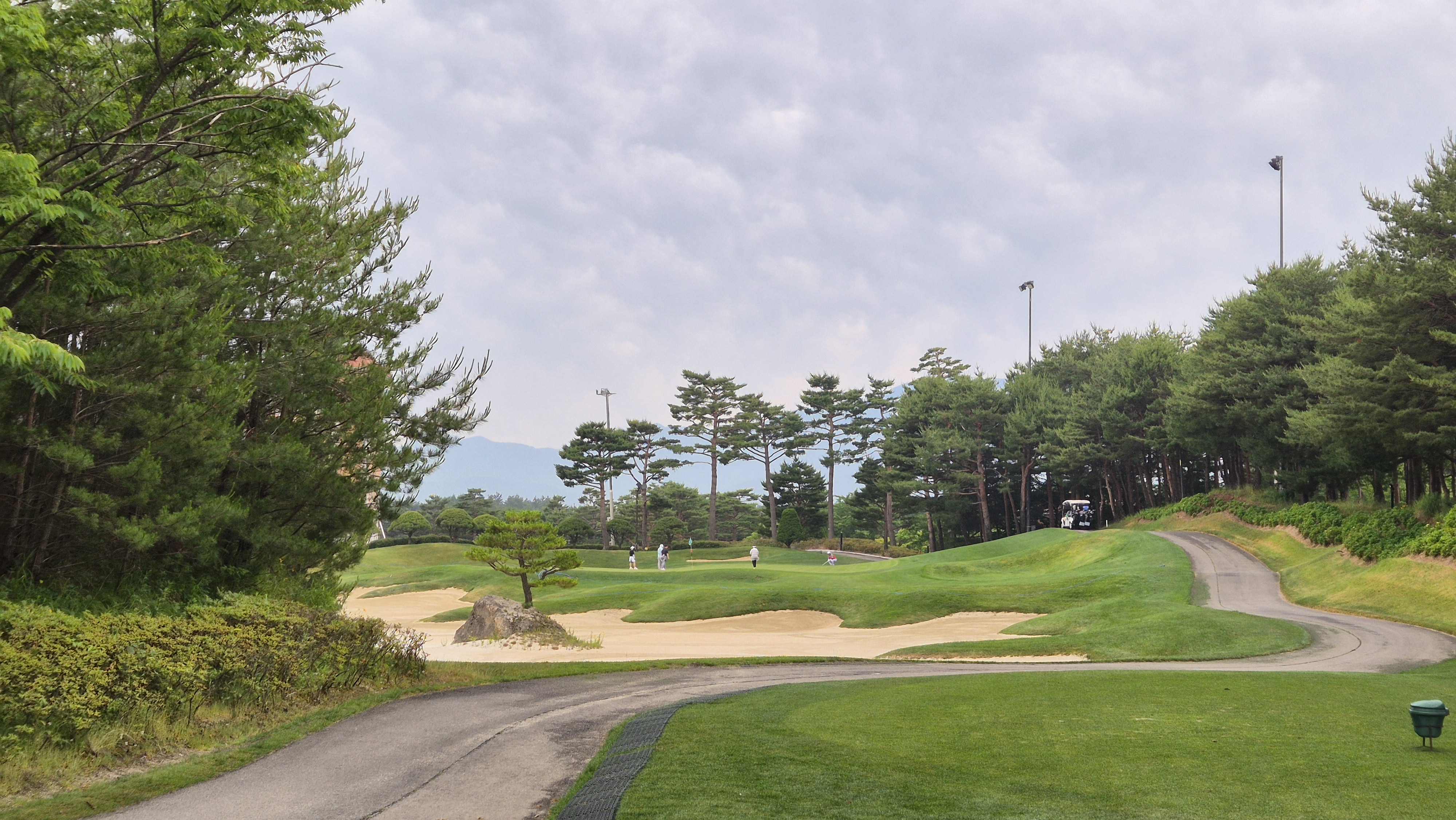 파인리즈cc 후기 및 코스사진