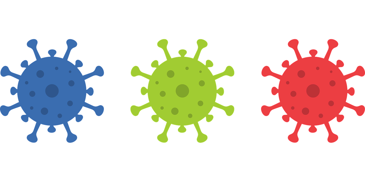 면역력을 높이는 효과적인 방법 – 건강한 삶의 기초