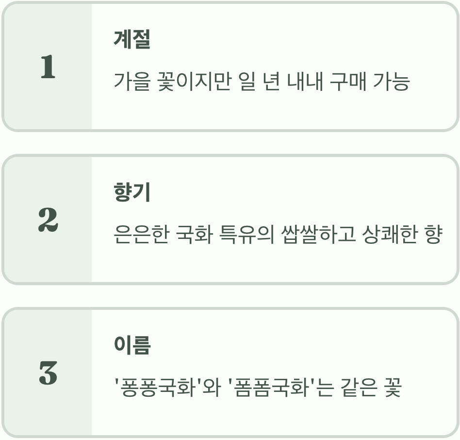 동글동글 귀여운 폼폼국화의 모든 것