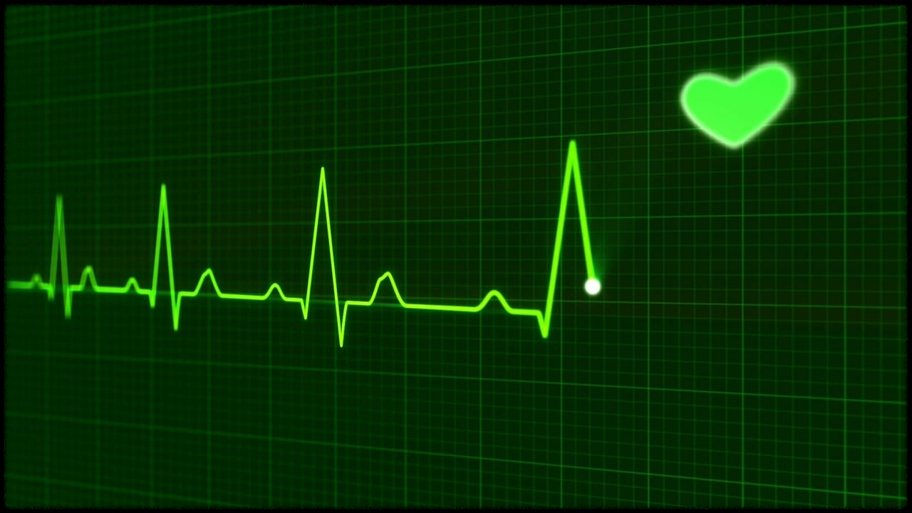 아몬드 효능_그림16