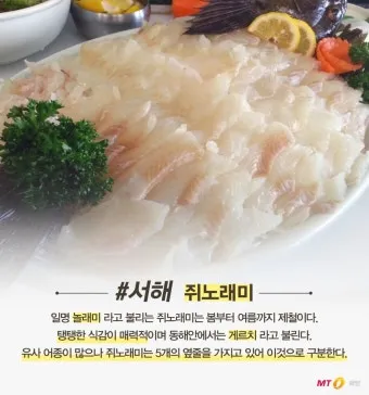여름 회 추천과 여름철 횟감 여름 제철 회와 생선 정보_17