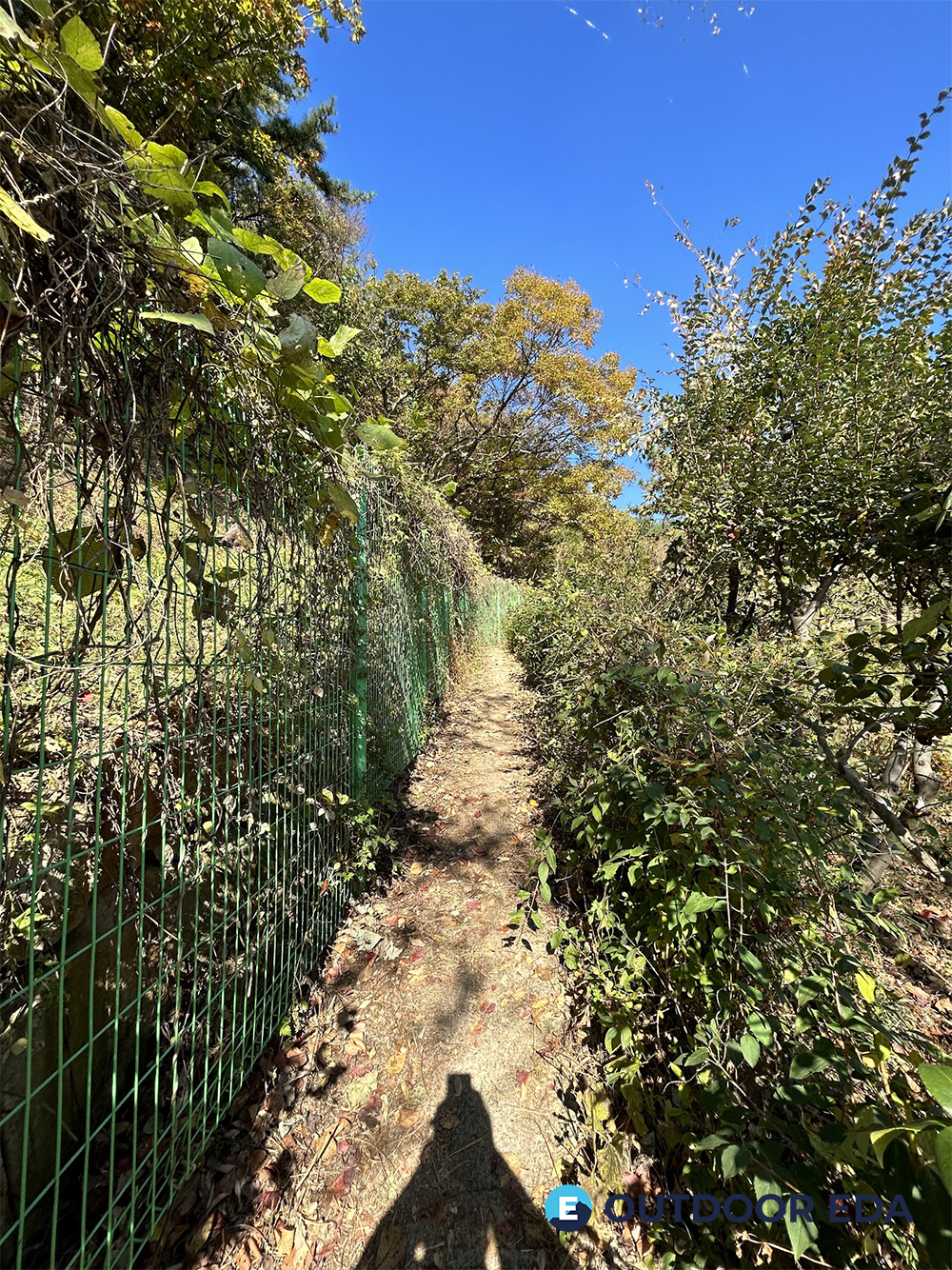 지산마을 영축산 등산로 초입
