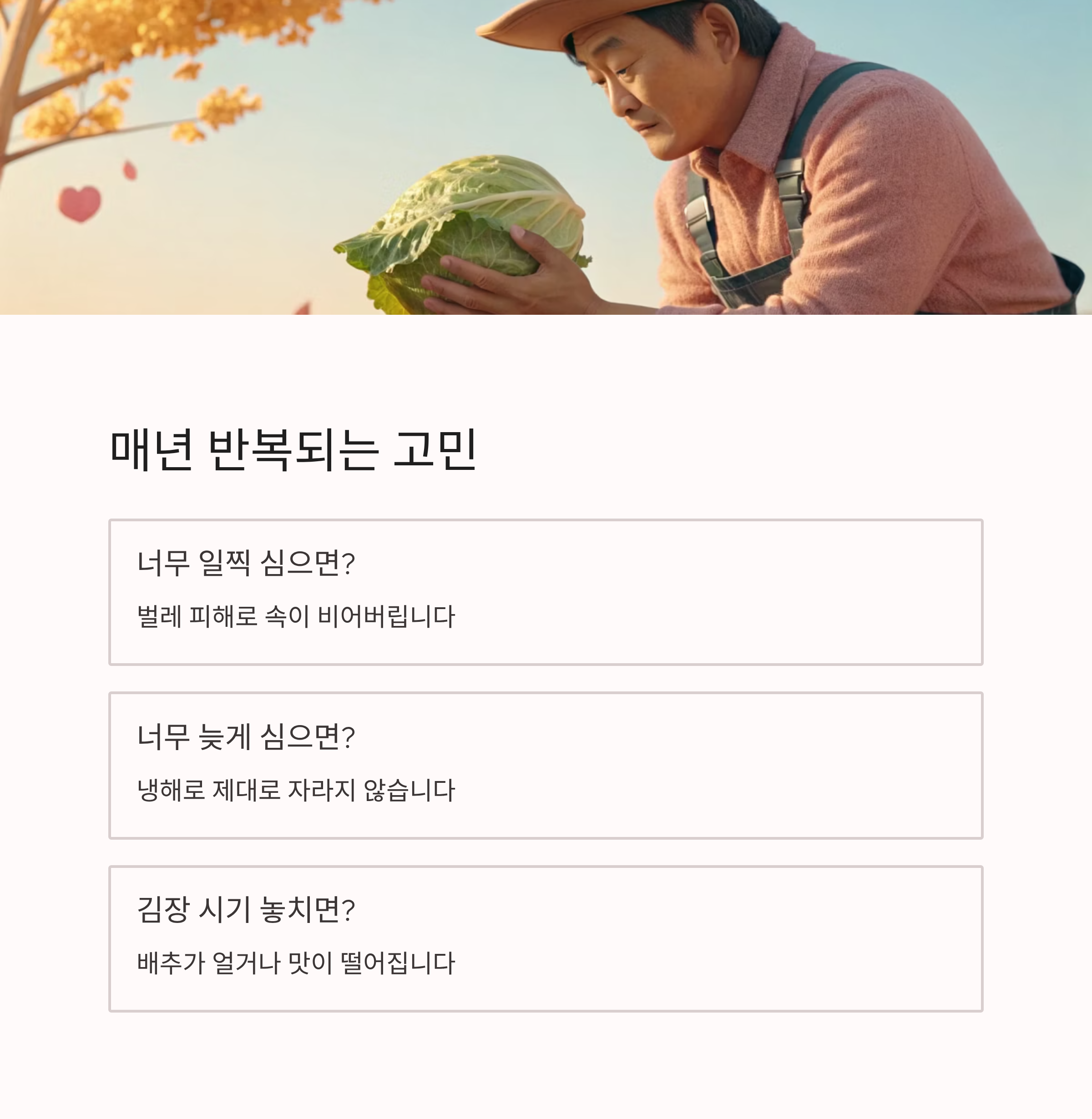 2025년 김장배추심는시기 · 수확시기 · 김장시기 ❘ 실패 없는 일정 완벽 가이드