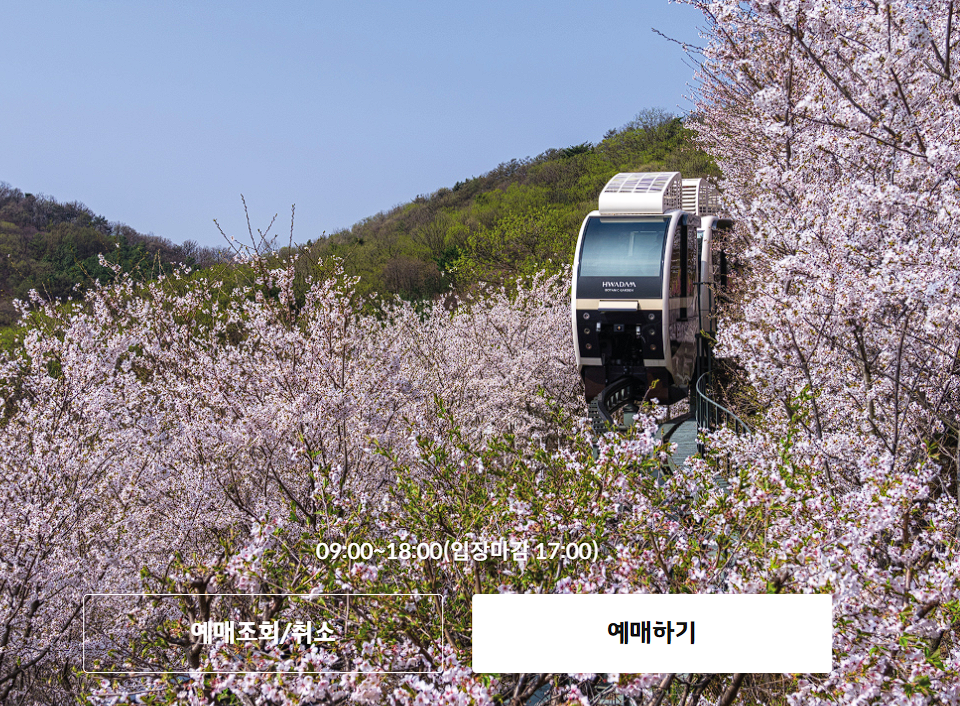 화담숲 예약 할인