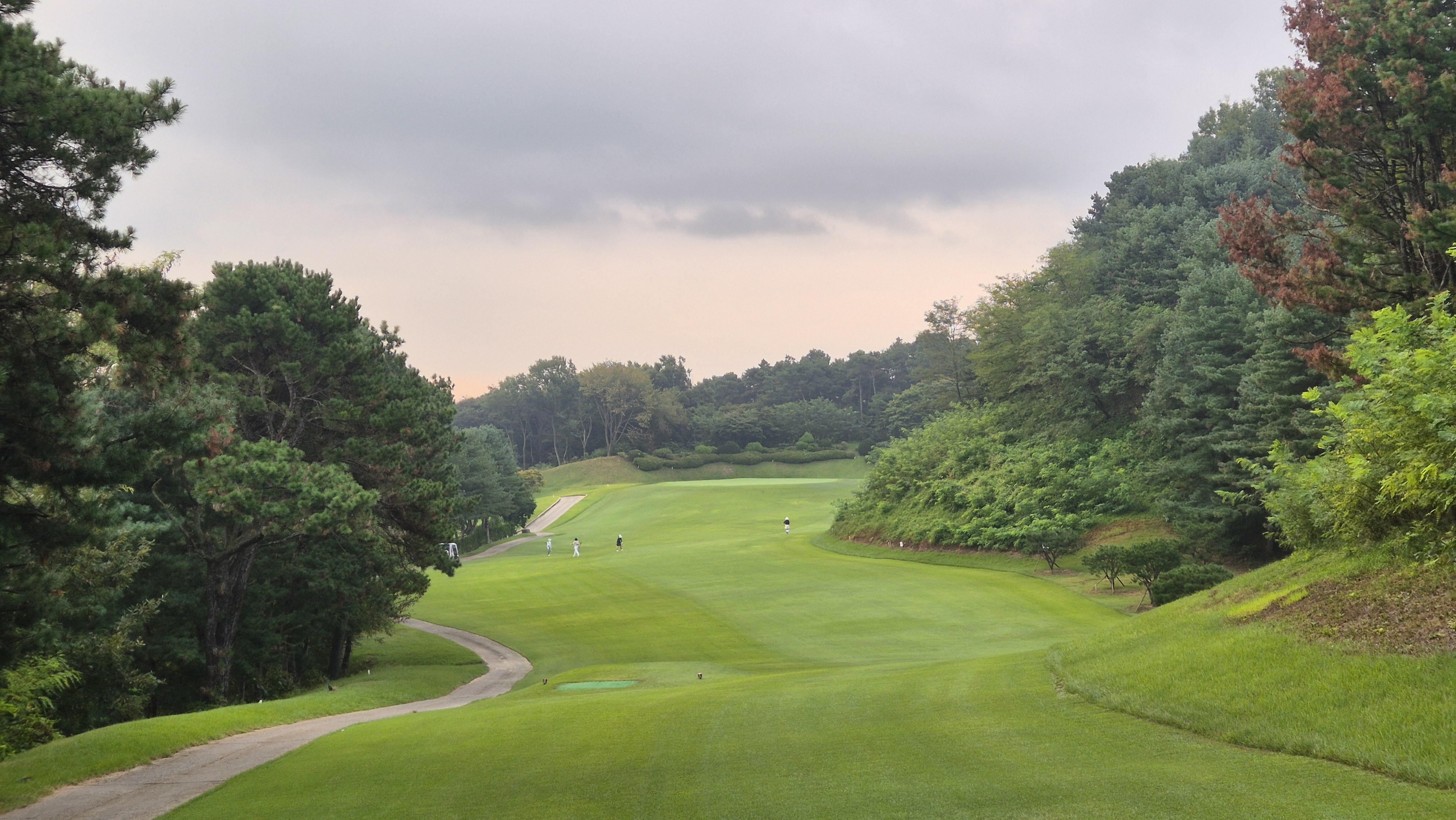 도고cc 코스 사진 및 공략 정보