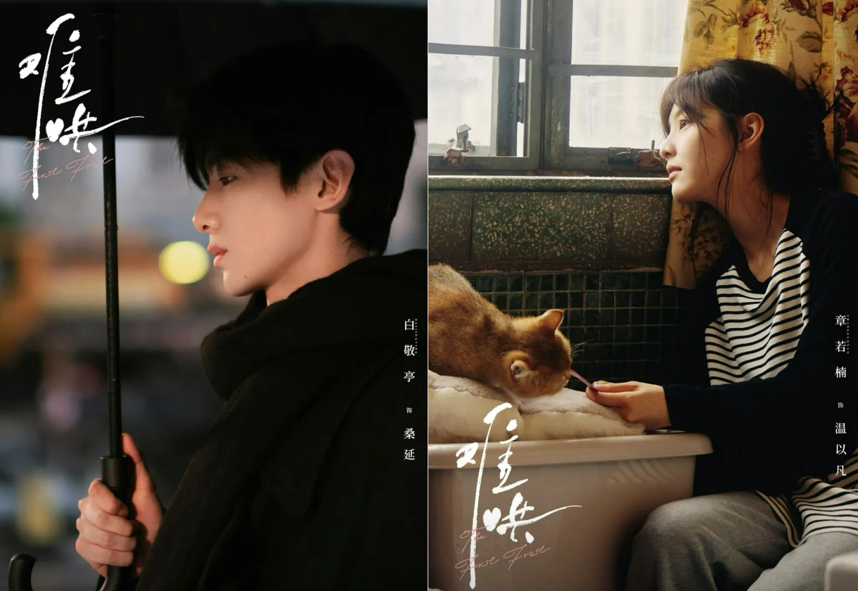 중국드라마(중드) 2025년 최신 현대물 로맨스 추천 – 난홍, 앵도호박, 환우, 애니