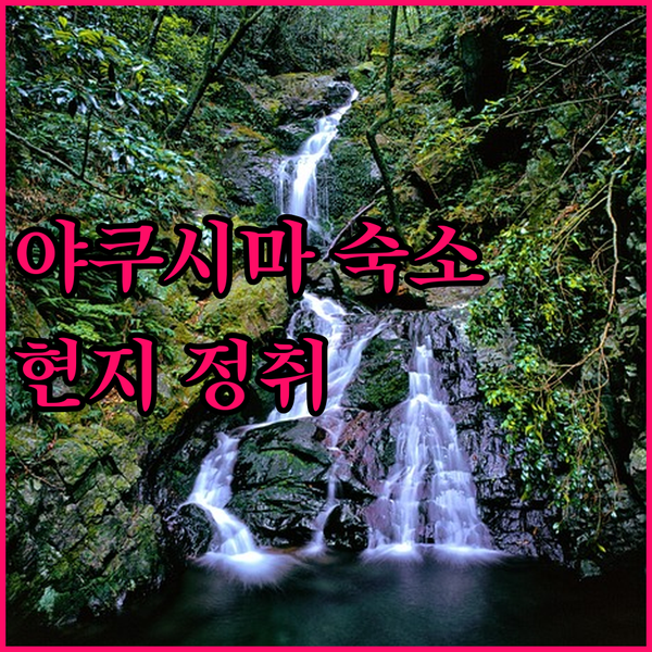 야쿠시마 숙소, 스기노코 민슈쿠에서 ..
