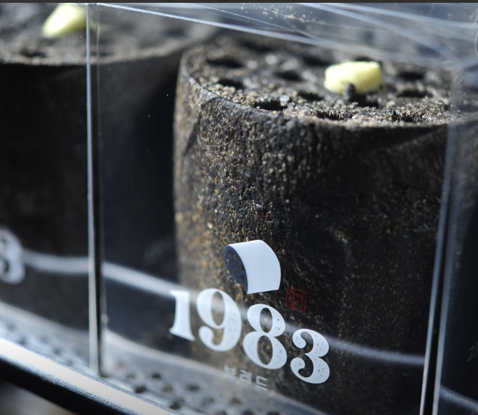 1983 브레드 본점 대표 메뉴