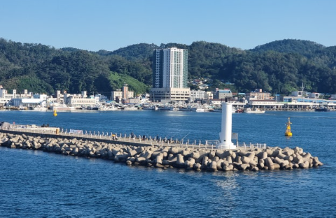 울릉도 크루즈 가격 비교 예약 방법 총정리 