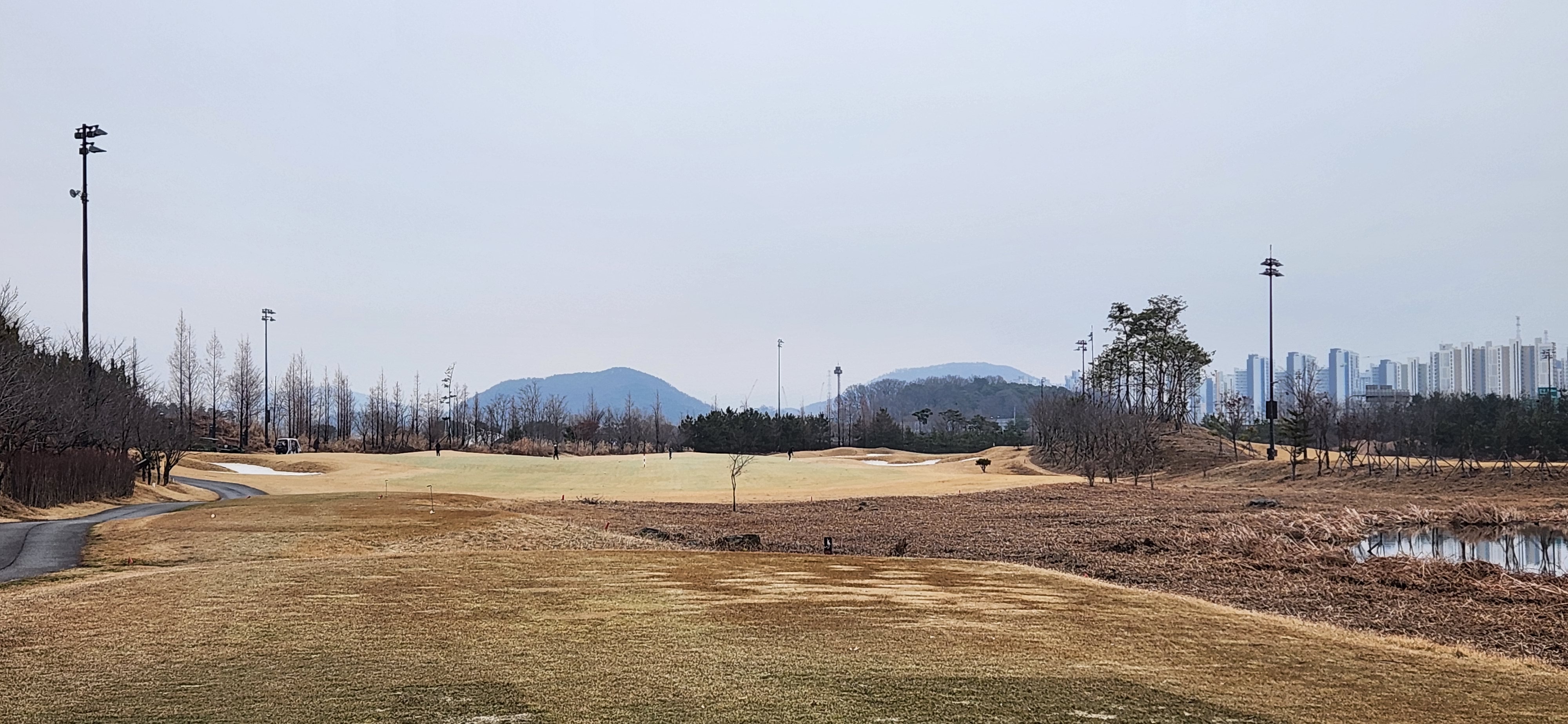 솔트베이cc
